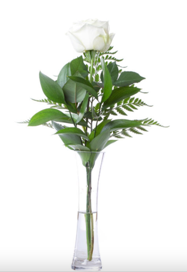 Bud Vase